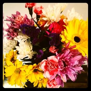 Meet your Posher, Dana